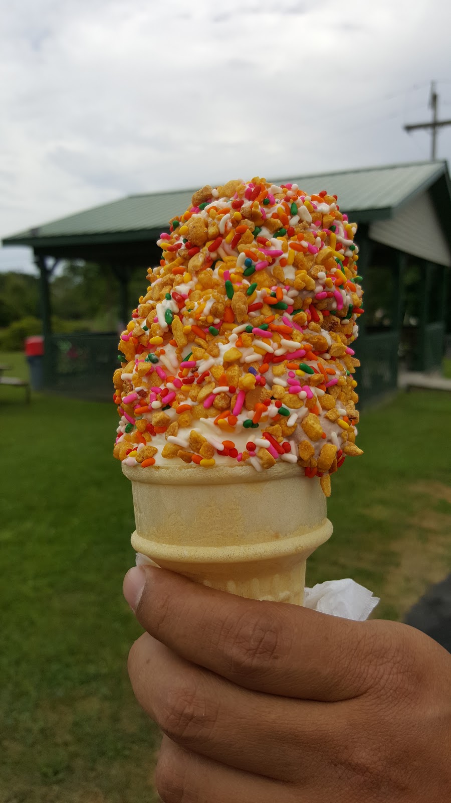 Bunnys Frozen Custard | 6457 Lakeshore Rd, Lexington, MI 48450, USA