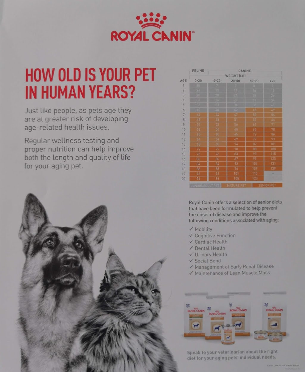 Richmond Green Veterinary Clinic | 10650 Leslie St Unit 3, Richmond Hill, ON L4S 0B9, Canada | Phone: (905) 787-9696