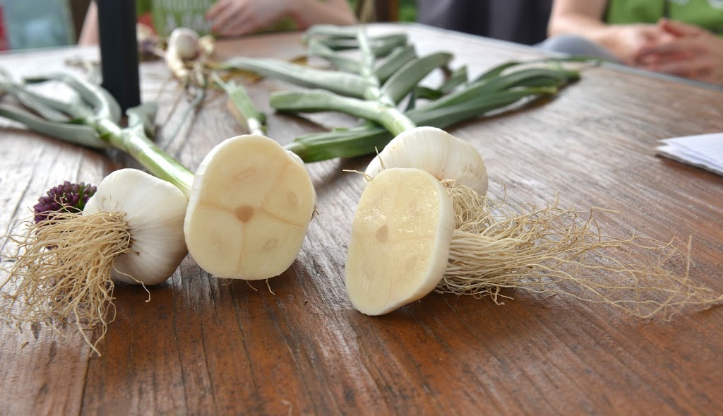 Production dail La Garlic | 1092 Rue Saint Camille, Saint-Jérôme, QC J5L 2K7, Canada | Phone: (450) 569-2112