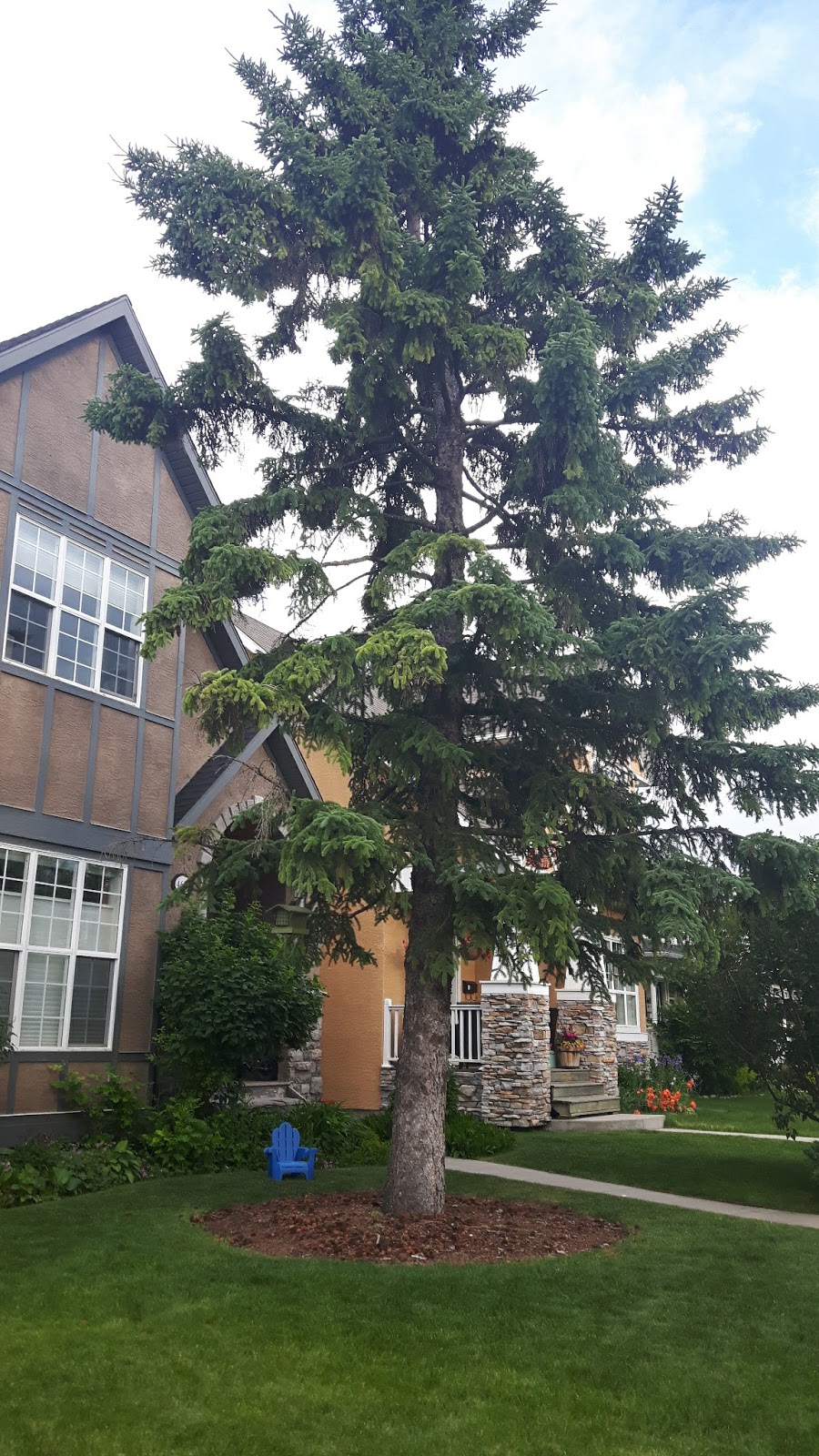 Passchendaele Park | 4637 Passchendaele Rd SW, Calgary, AB T2T 6C9, Canada