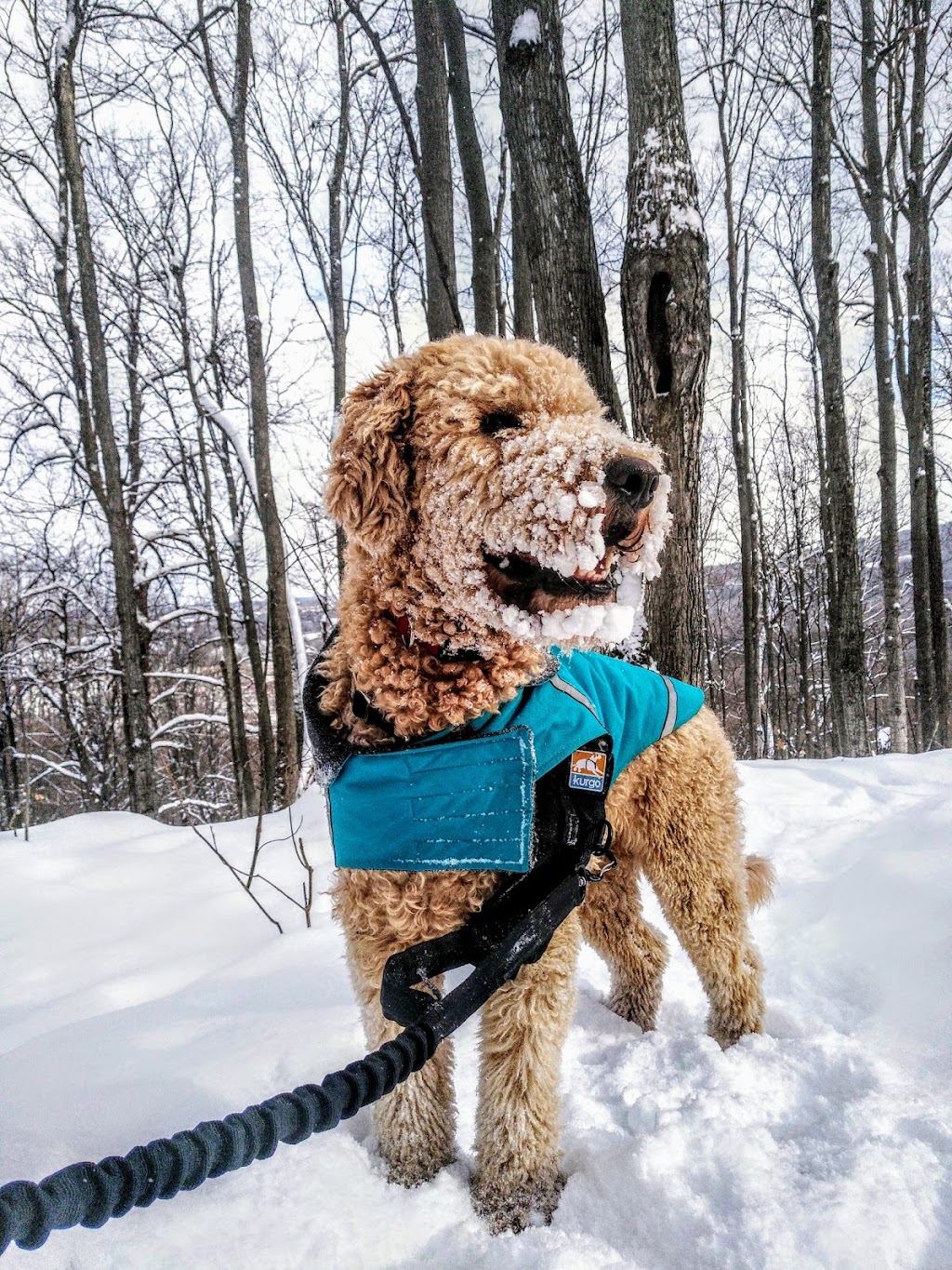 Ruffing It | 345 Concession Rd 10 #349, Port Elgin, ON N0H 2C6, Canada | Phone: (844) 444-7833