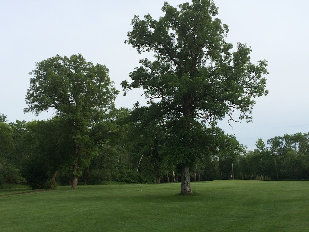 Delahunt Golf & Country Club | Box 149, Treherne, MB R0G 2V0, Canada | Phone: (204) 723-2502