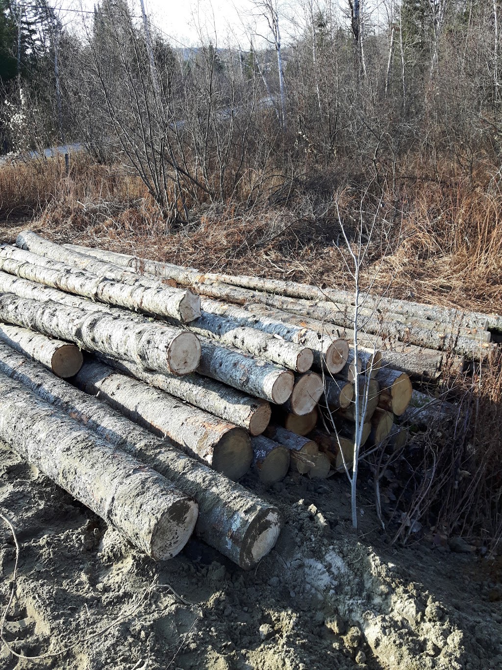 Scies A Chaine FN Ltee | 49 QC-309, Antoine-Labelle, QC J0W, Canada | Phone: (819) 587-3332