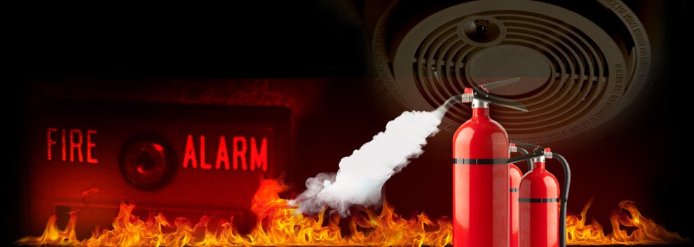 Nisko Systems Ltd. | 150 Clark Blvd Unit 181, Brampton, ON L6T 4Y8, Canada | Phone: (416) 892-7292