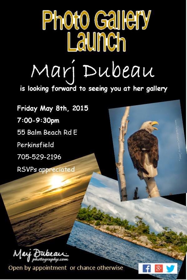 Marj Dubeau Photography | 55 Balm Beach Rd E, Tiny, ON L0L 2J0, Canada | Phone: (705) 529-2196