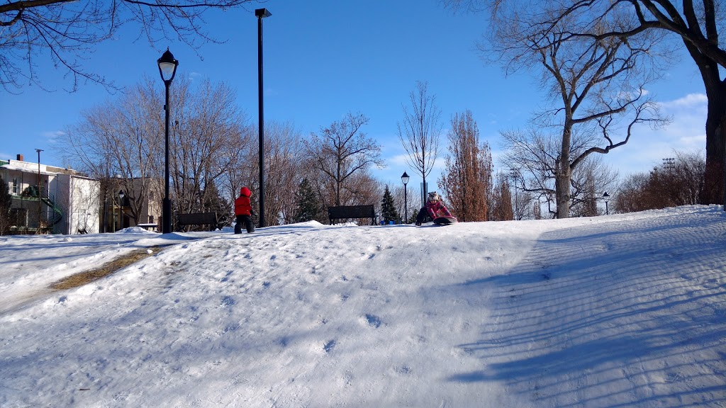 Parc Morgan | Rue Gaboury, Montréal, QC H1V, Canada | Phone: (514) 872-0311