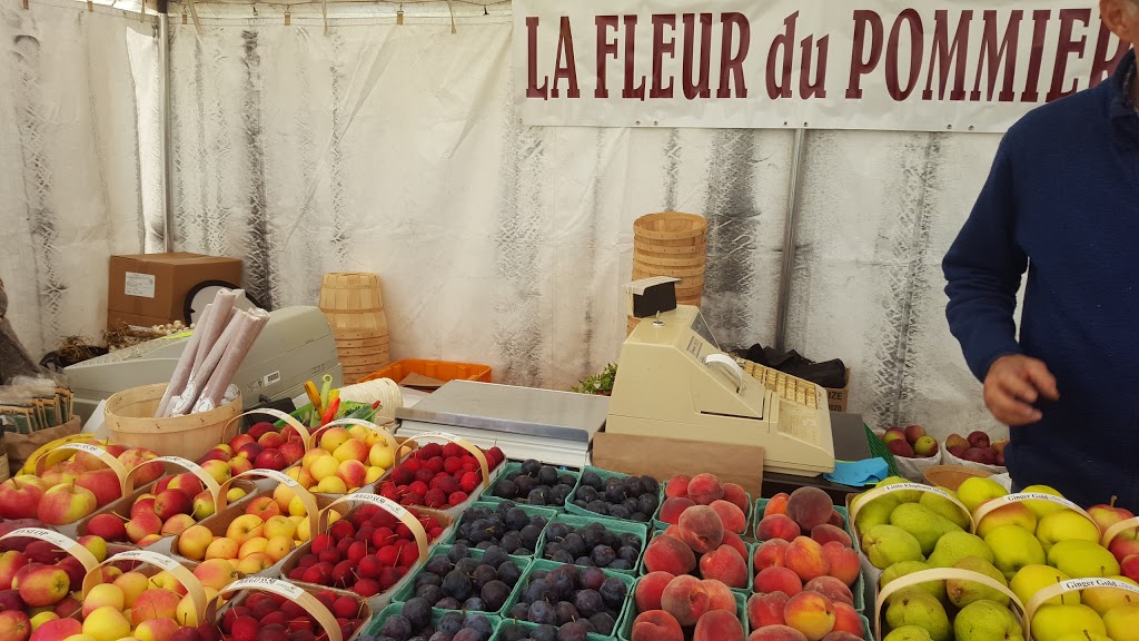 La Fleur Du Pommier Ltee | 79 Chemin Rue Goguen, Cocagne, NB E4R 5Y7, Canada | Phone: (506) 576-7946