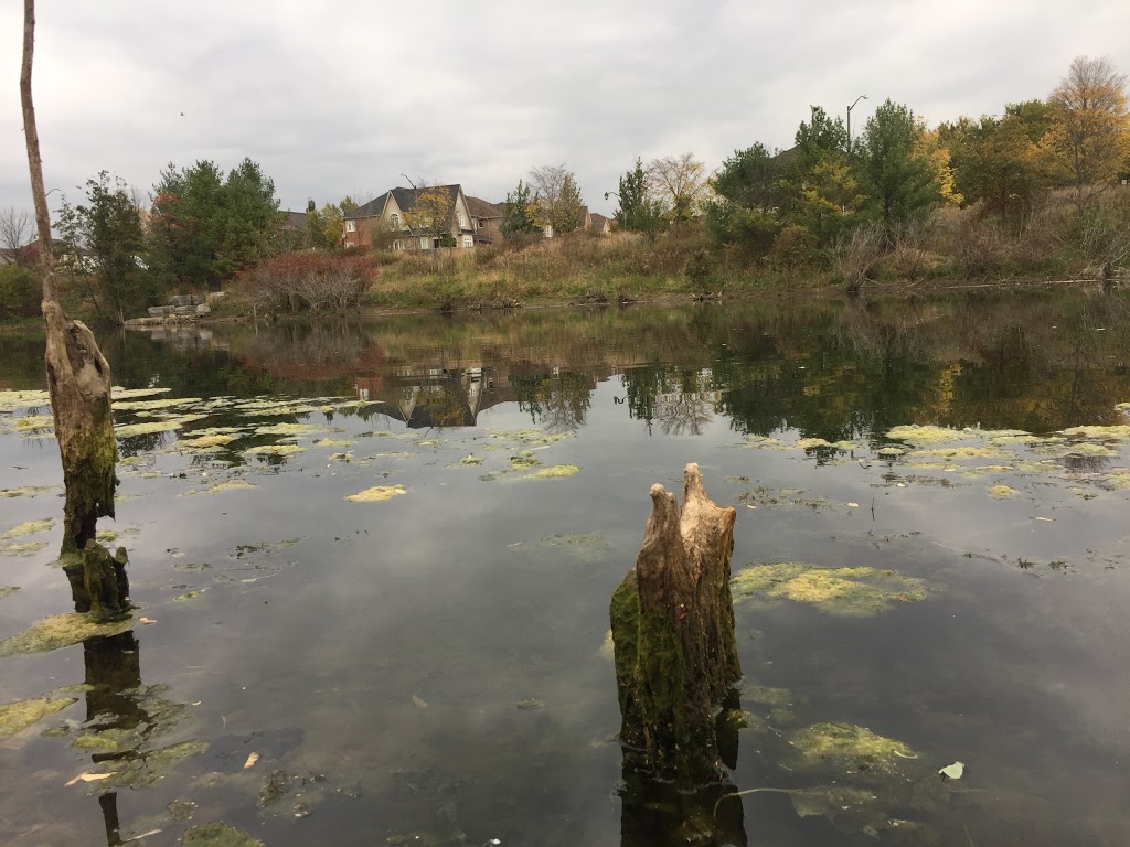 Stormwater Management Pond | Great Lakes Blvd, Oakville, ON L6L, Canada
