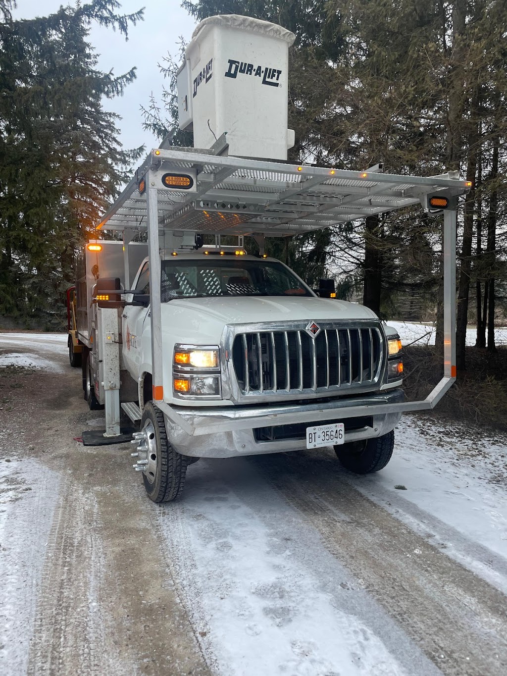 R. T. E. Tree Service | 1237 Concession 5 W, Waterdown, ON L8B 1L3, Canada | Phone: (905) 699-5029