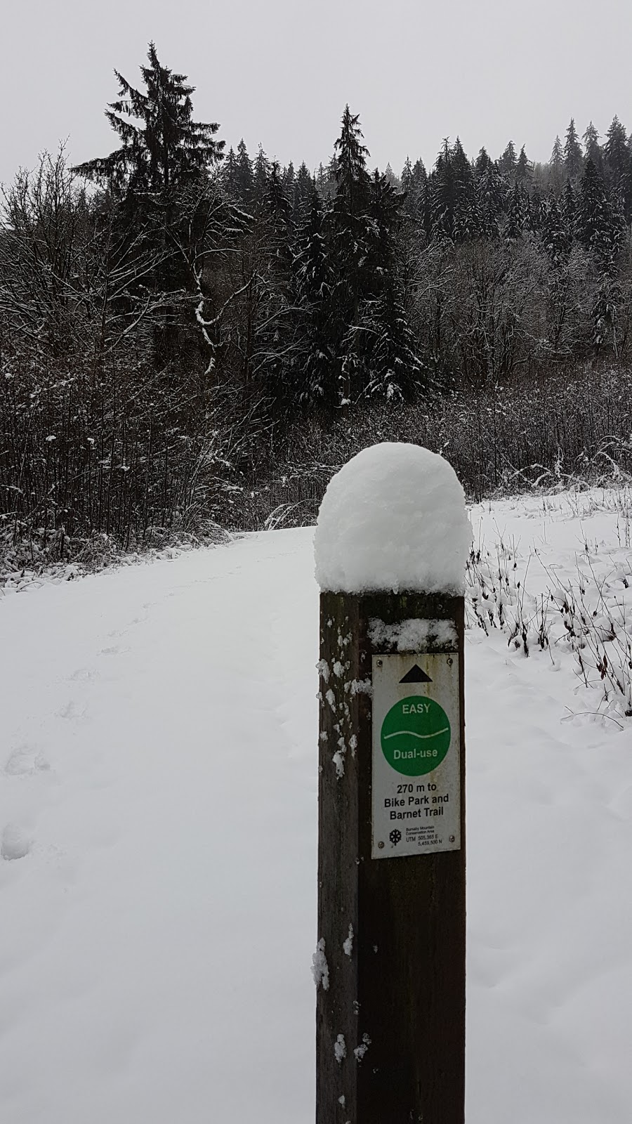 Burnaby Mountain Biking and Hiking Trails | University Dr E, Burnaby, BC V5A 4Y8, Canada | Phone: (604) 294-7944