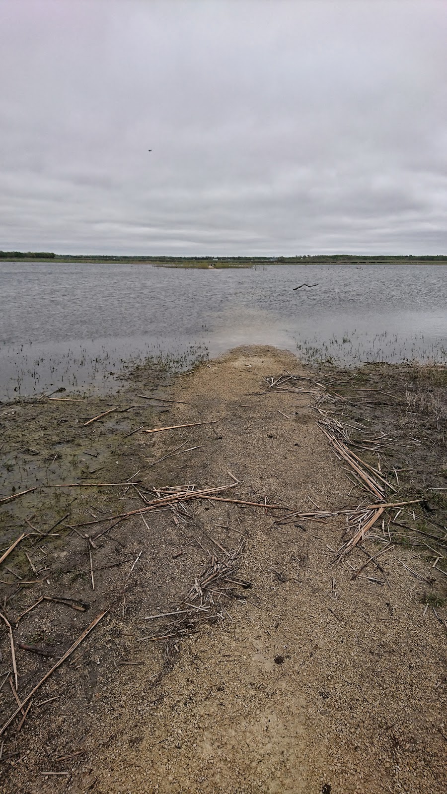 Rosenthal Nature Park | Randolph Rd, Randolph, MB R0A 1L0, Canada | Phone: (204) 424-5845