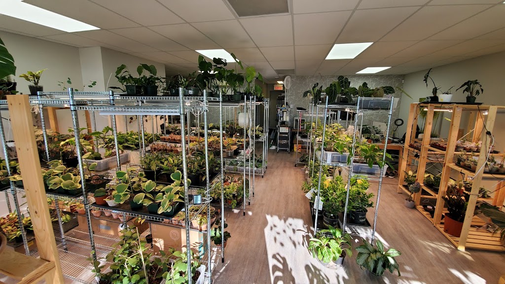 veryplants | 29 Rue Sainte-Anne, Sainte-Anne-de-Bellevue, QC H9X 1L2, Canada | Phone: (514) 500-2232