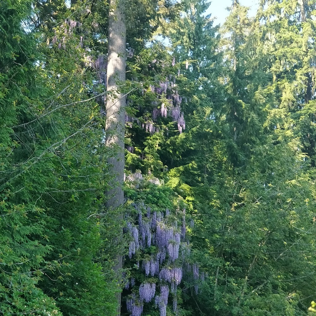 Eastview Park | 1200-1234 Cedar Village Close, North Vancouver, BC V7J 3P3, Canada