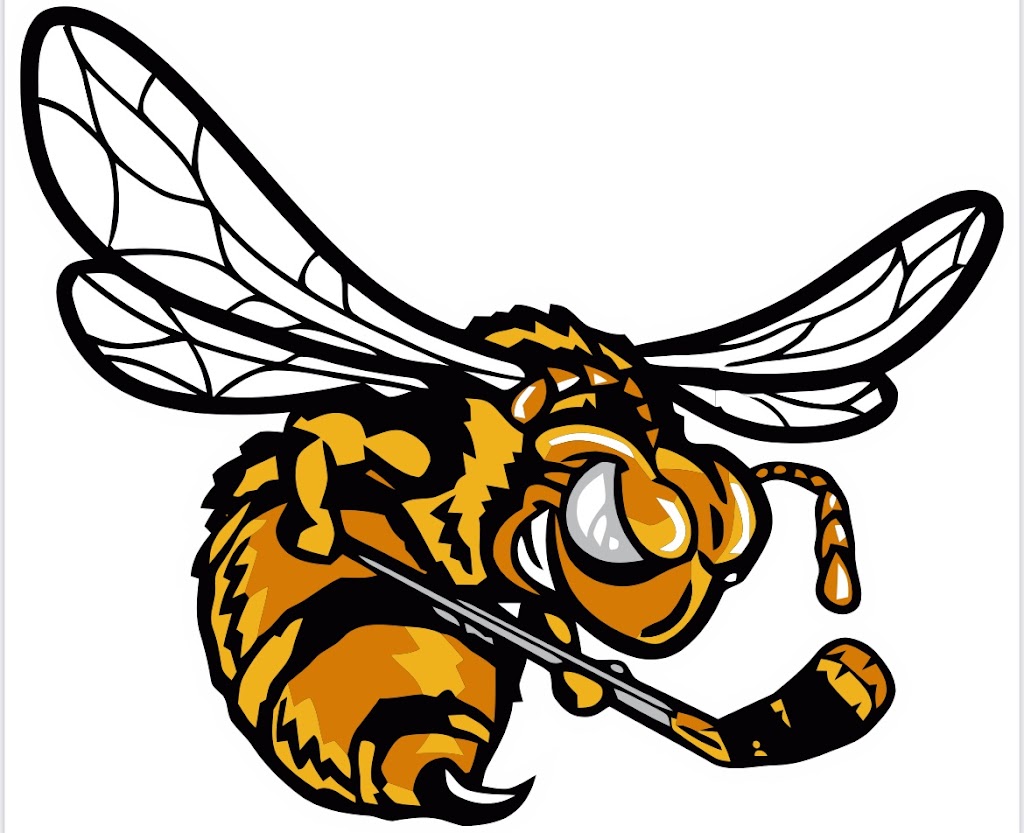 Alvinston Killer Bees Senior Hockey Club | 3310 Walnut St, Alvinston, ON N0N 1A0, Canada | Phone: (226) 926-6391