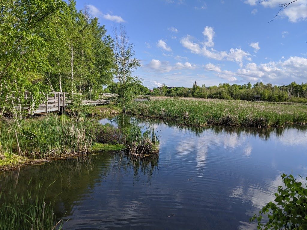 Sackville Waterfowl Park | 34 Mallard Dr, Sackville, NB E4L 1G6, Canada | Phone: (506) 364-4930