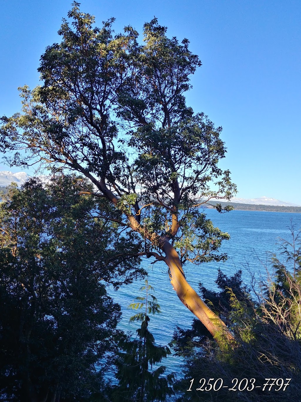 Hornby Island Beach House | 3895 Shingle Spit Rd, Hornby Island, BC V0R 1Z0, Canada | Phone: (250) 335-1455