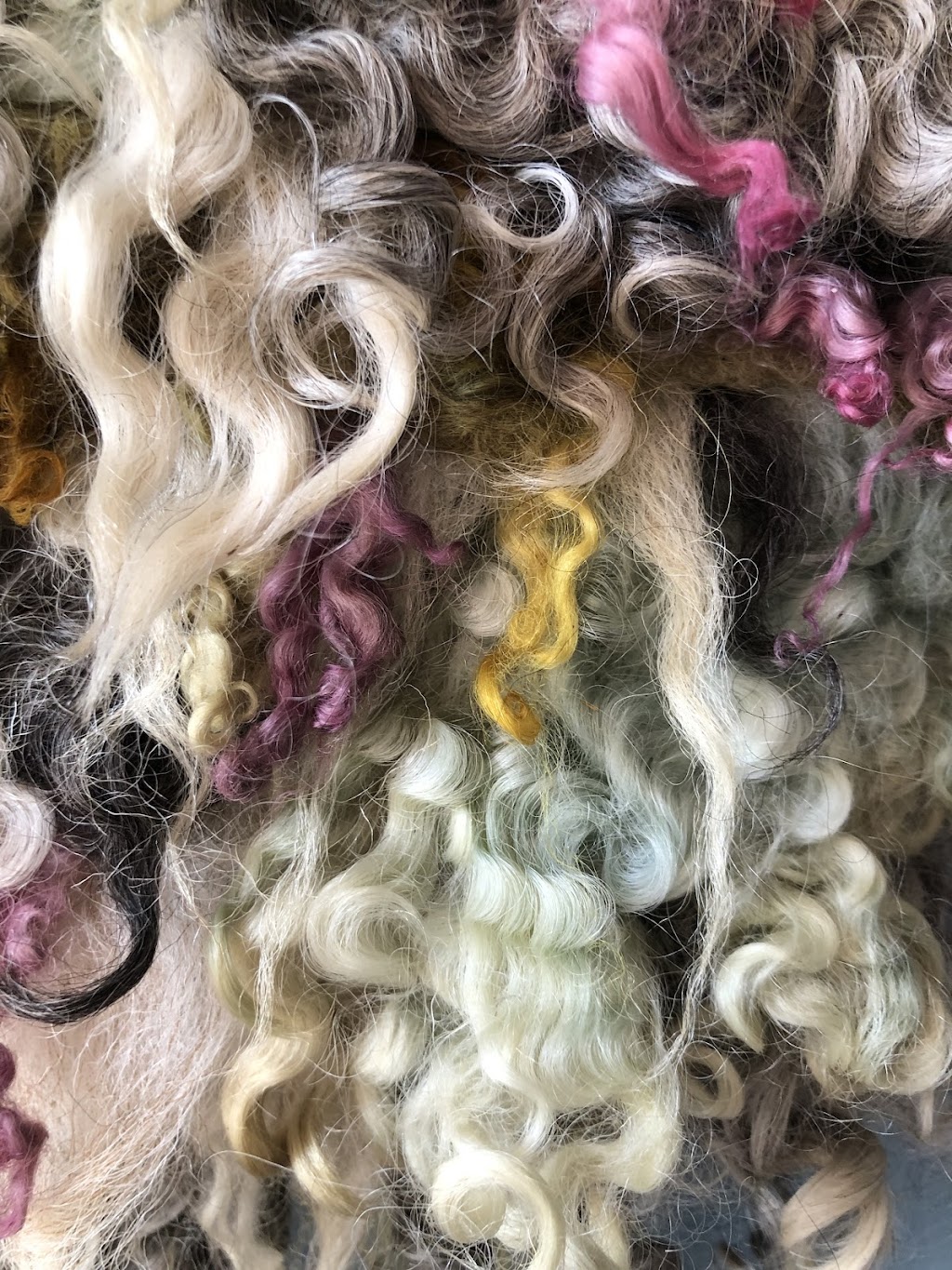 Wool Mountain | 20 Northumbria Bay, Winnipeg, MB R2J 1Y4, Canada | Phone: (204) 694-9803