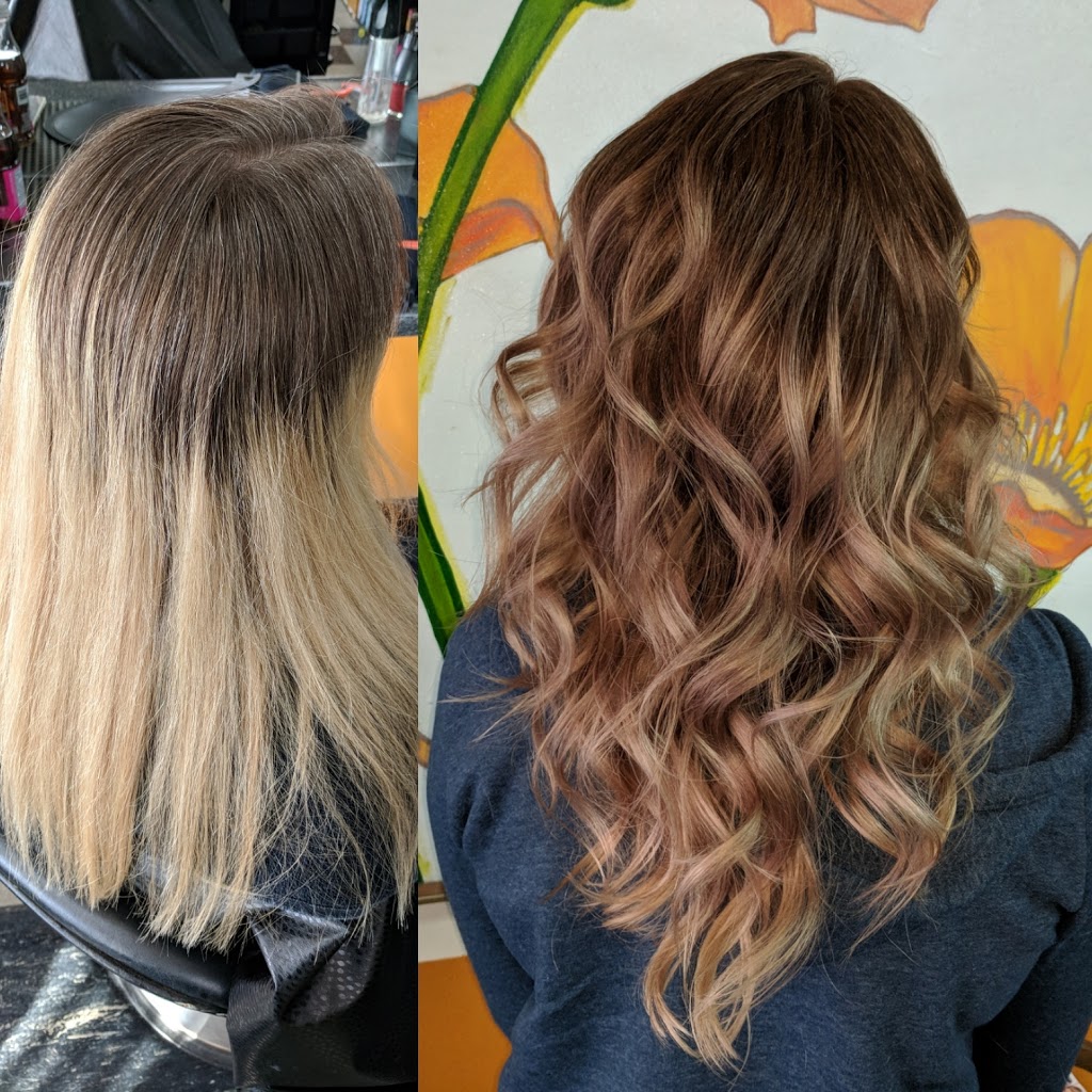 Silver Scissors | 447 Ferry Rd, Winnipeg, MB R3J 1W3, Canada | Phone: (204) 888-9283