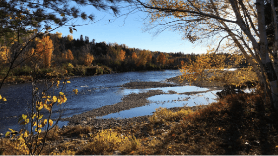 Dionisio Point Provincial Park | Galiano Island, BC V0N 1P0, Canada | Phone: (877) 559-2115