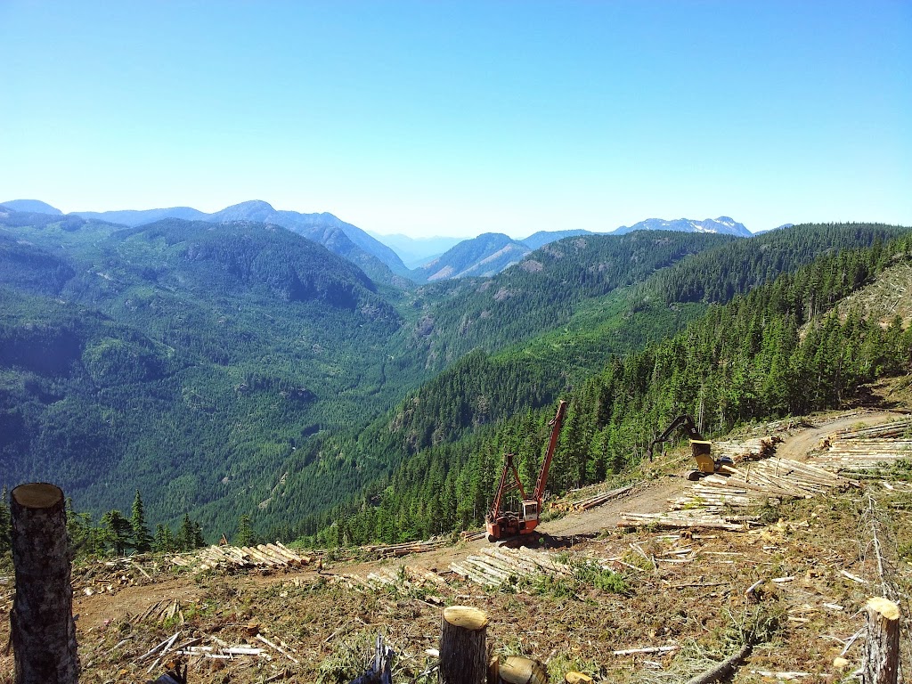 Y L Forest Trading Ltd | 1140 Austin Ave, Coquitlam, BC V3K 3P5, Canada | Phone: (604) 931-8041