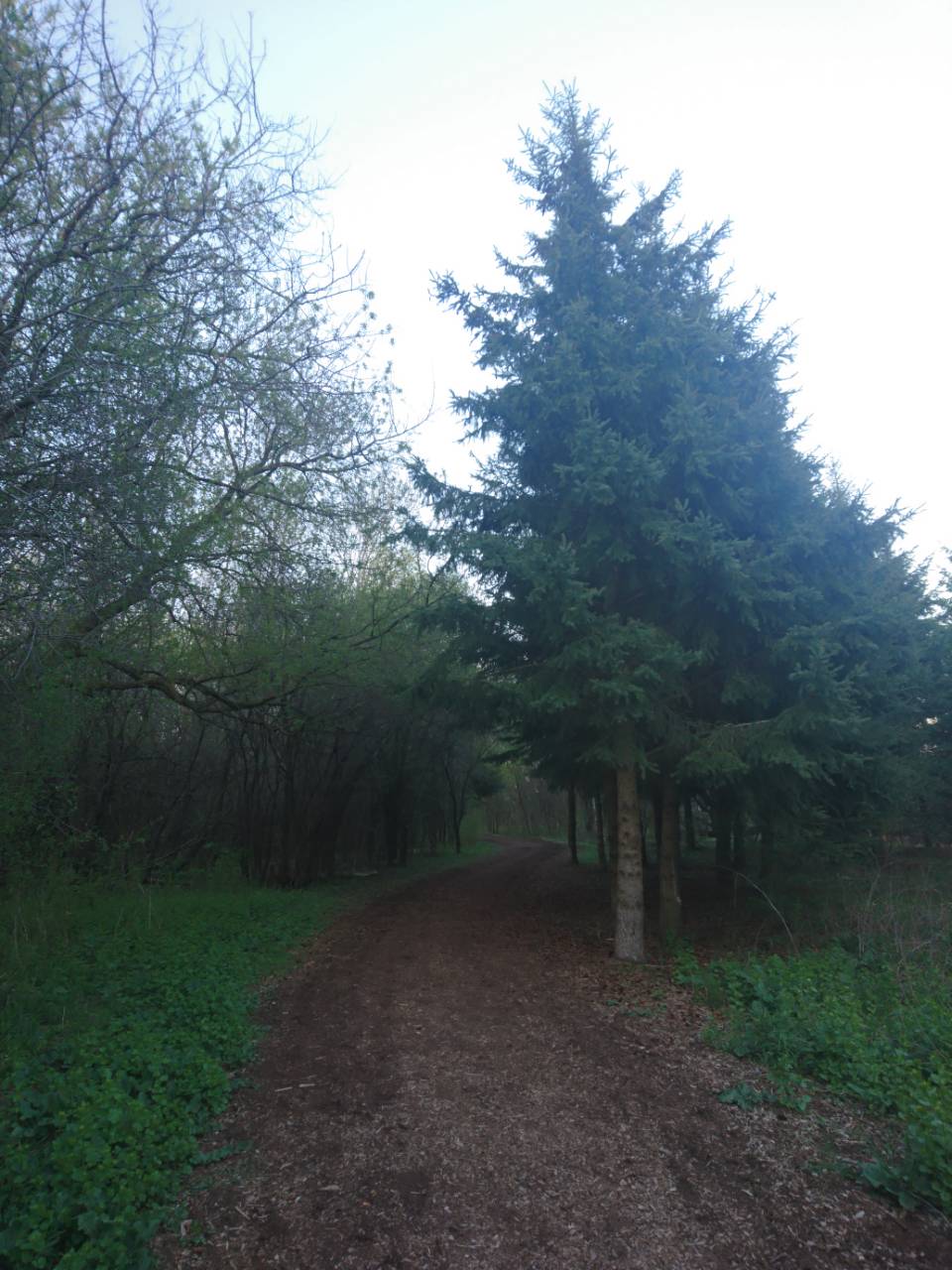 Margaret Greene Trail | Westwood Rd, Guelph, ON N1H, Canada