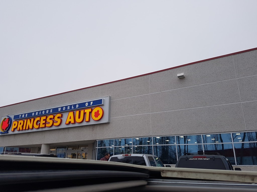 Princess Auto | store | 356 Bryne Dr, Barrie, ON L4N 8X1, Canada | 7057390575 OR +1 705-739-0575