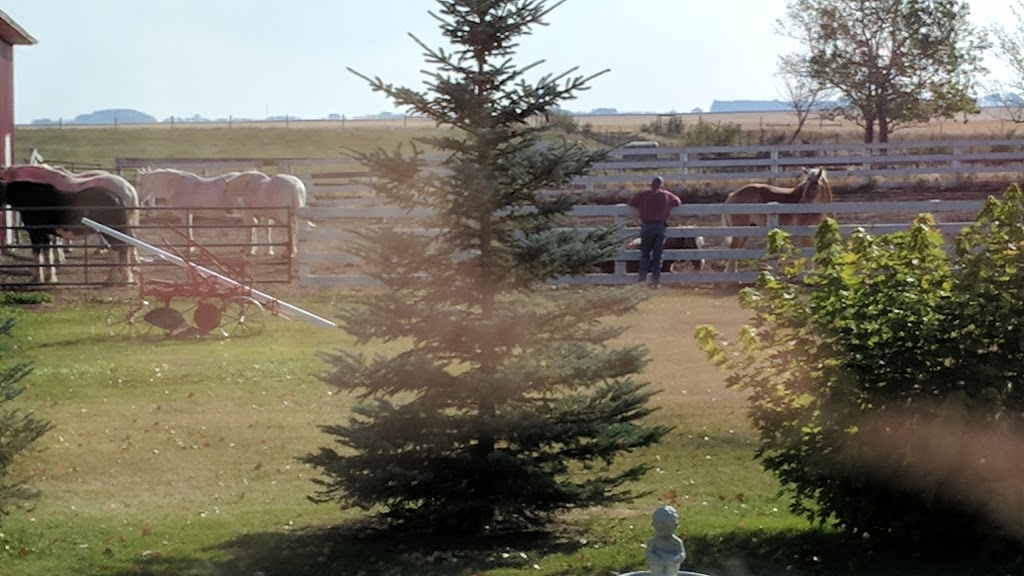 Alberta Carriage Supply | 245220 Range Road 271, Rocky View No. 44, AB T2P 2G7, Canada | Phone: (403) 934-9537