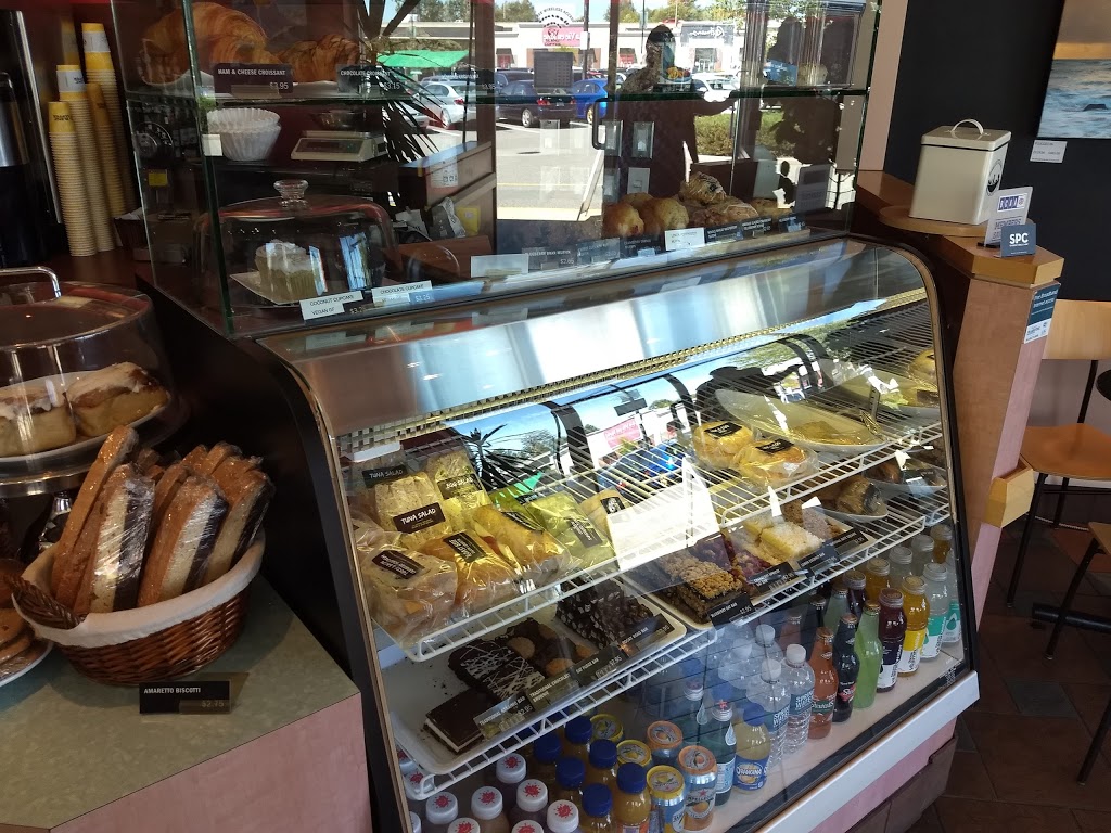 Blenz Coffee | 19800 Lougheed Hwy #310, Pitt Meadows, BC V3Y 2W1, Canada | Phone: (604) 460-9284