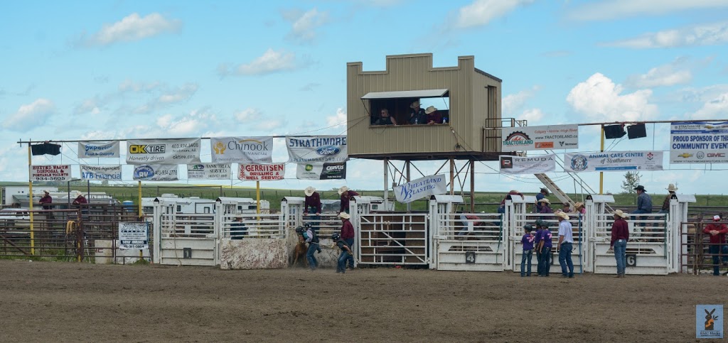 Rockyford Agricultural Society Rodeo | 111 1 St E, Rockyford, AB T0J 2R0, Canada | Phone: (403) 533-3771