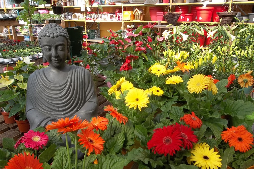 Hortibeauce | Centre Jardin BOTANIX | 333 Route Cameron, Sainte-Marie, QC G6E 3E2, Canada | Phone: (418) 387-7595