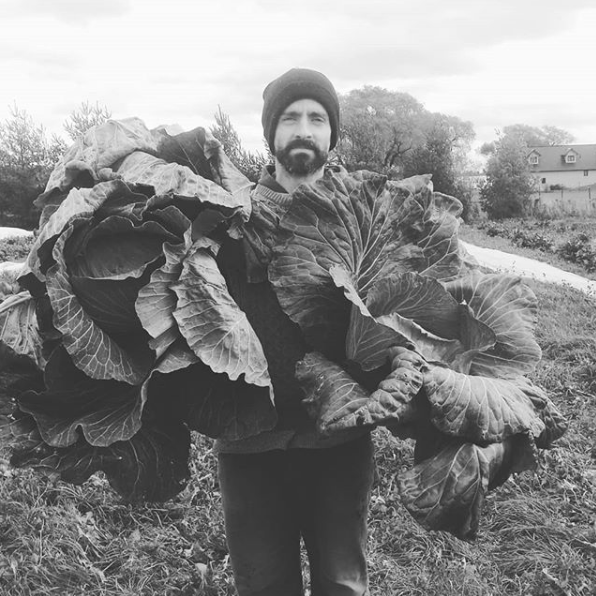 Field Good Farms | 1345 Levac Rd, Cache Bay, ON P0H 1G0, Canada | Phone: (705) 978-1664