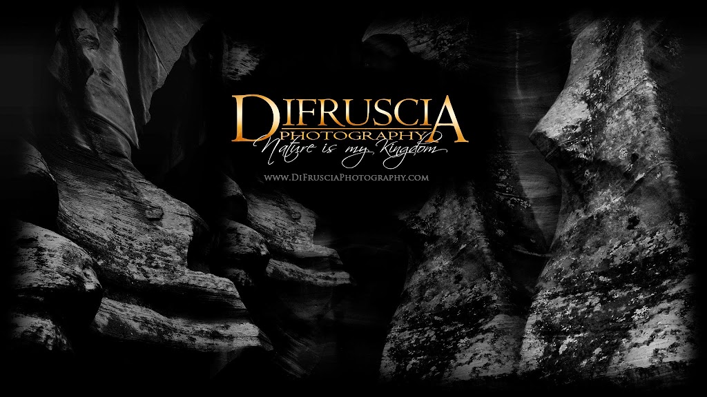 Di Fruscia Photography | 1745 Rue des Pervenches #6, Saint-Lazare, QC J7T 3B9, Canada | Phone: (514) 755-3686