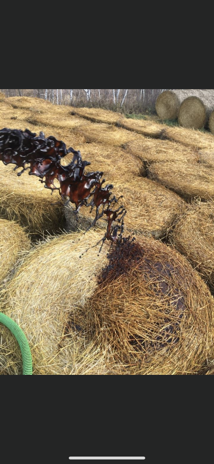 A1 Liquid Feeds | 42112 Mile 85 Rd N, Brokenhead, MB R0E 0C0, Canada | Phone: (204) 792-0035