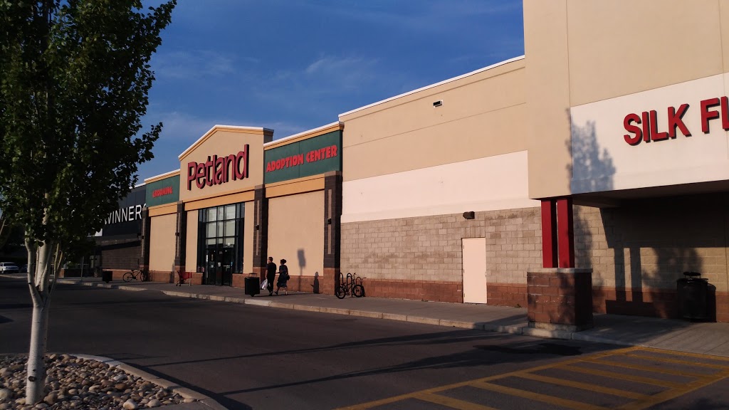 Petland | 130 Country Village Rd NE #323, Calgary, AB T3K 5Z2, Canada | Phone: (403) 226-4045