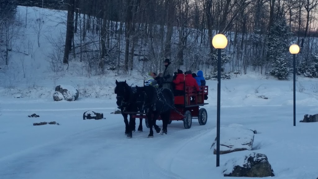 Windsong Carriage & Ranch | 597520 Grey Rd 29, Bognor, ON N0H 1E0, Canada | Phone: (519) 376-1518