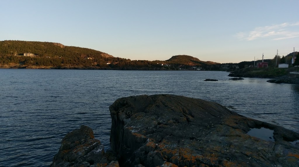 Strapps Heritage House | 87 Harbour Dr, Harbour Main, NL A0A 2P0, Canada | Phone: (709) 229-4769