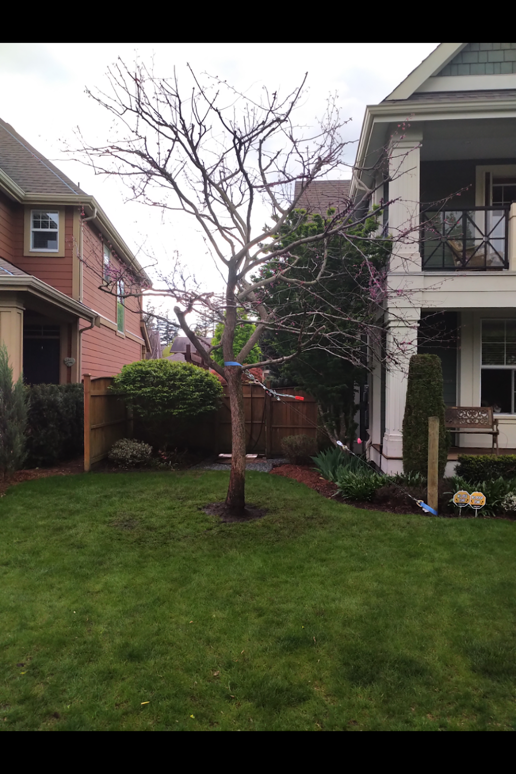 Trees for Life | 6450 Vedder Rd #105, Chilliwack, BC V2R 5N7, Canada | Phone: (604) 378-4694