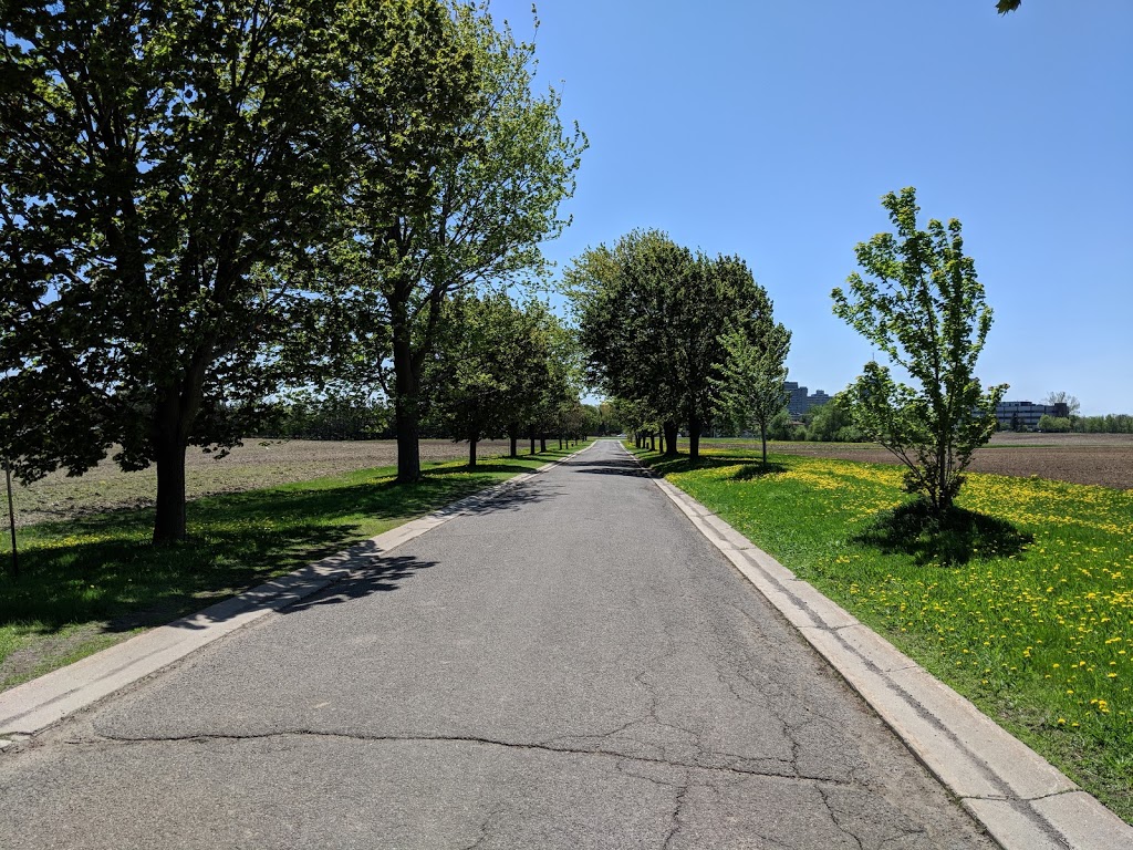Friends of the Farm | Civic Hospital - Experimental Farm - Central Park, Ottawa, ON K2C 3R6, Canada | Phone: (613) 230-3276