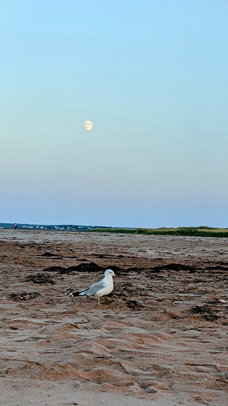 Golden Sands Cottages | Wharf Rd, South Rustico, PE C0A 1X0, Canada | Phone: (902) 963-2789