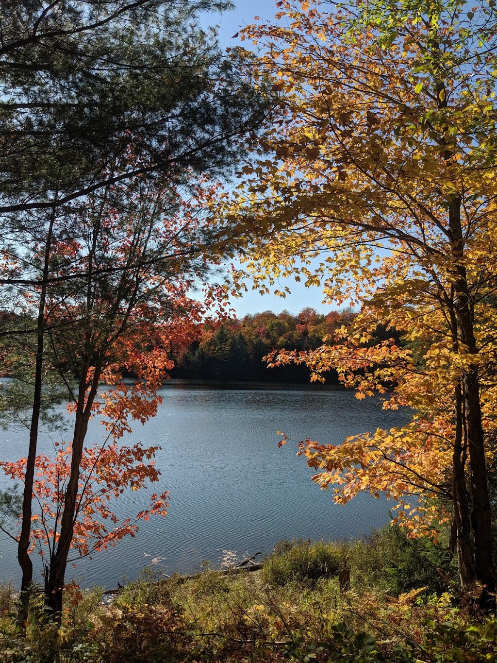 Mayflower Lake Trail | Huntsville, ON P1H 2J4, Canada | Phone: (705) 789-5105