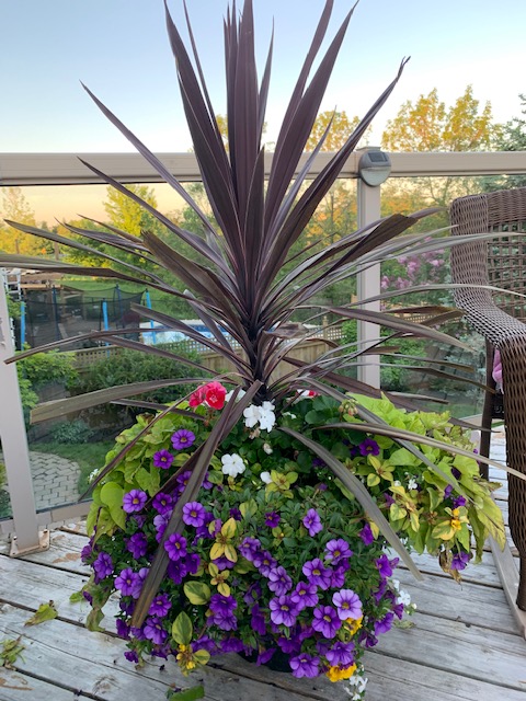 Leader Landscape Construction | 3045 Southcreek Rd #27, Mississauga, ON L4X 2X6, Canada | Phone: (416) 854-2124