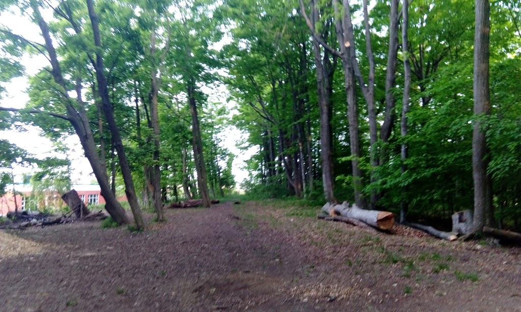 Shadyridge Woods | Kitchener, ON N2N 3J2, Canada