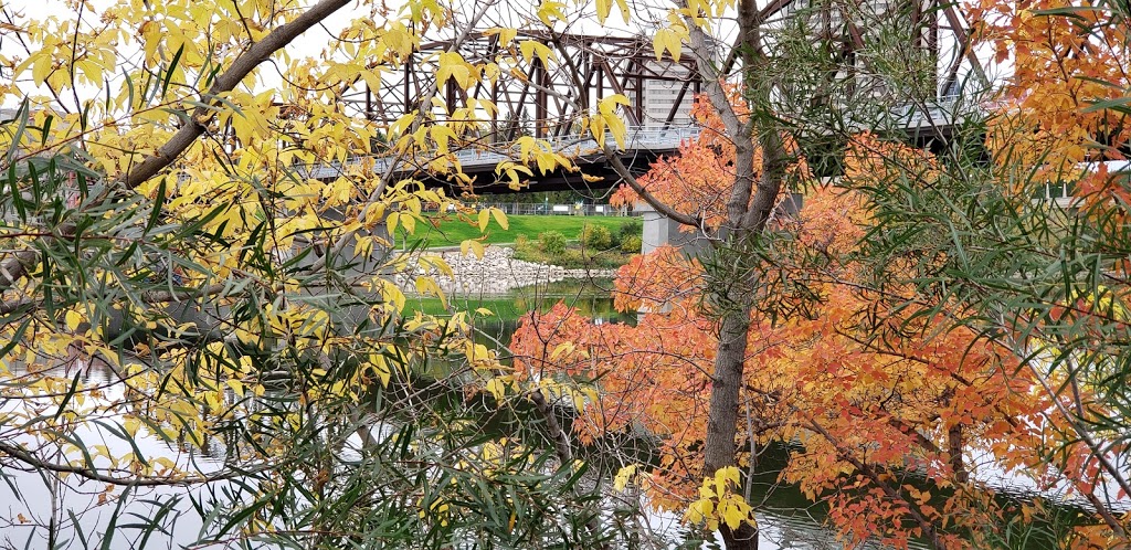 Idywyld Park | Nutana, Saskatoon, SK S7M 0A4, Canada