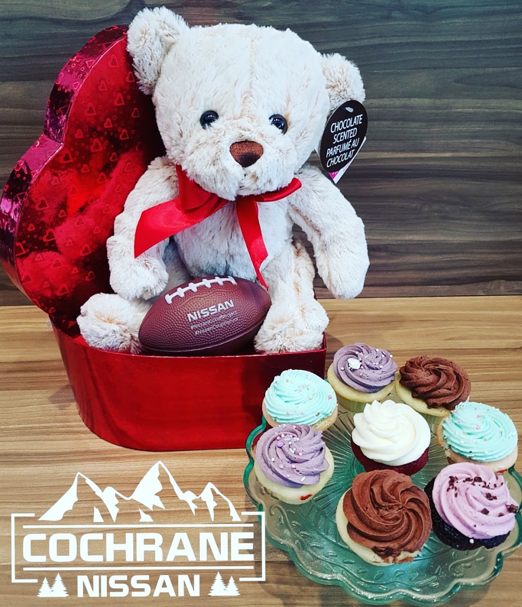 Cochrane Nissan | 7 River Heights Dr, Cochrane, AB T4C 0N8, Canada | Phone: (403) 851-8585