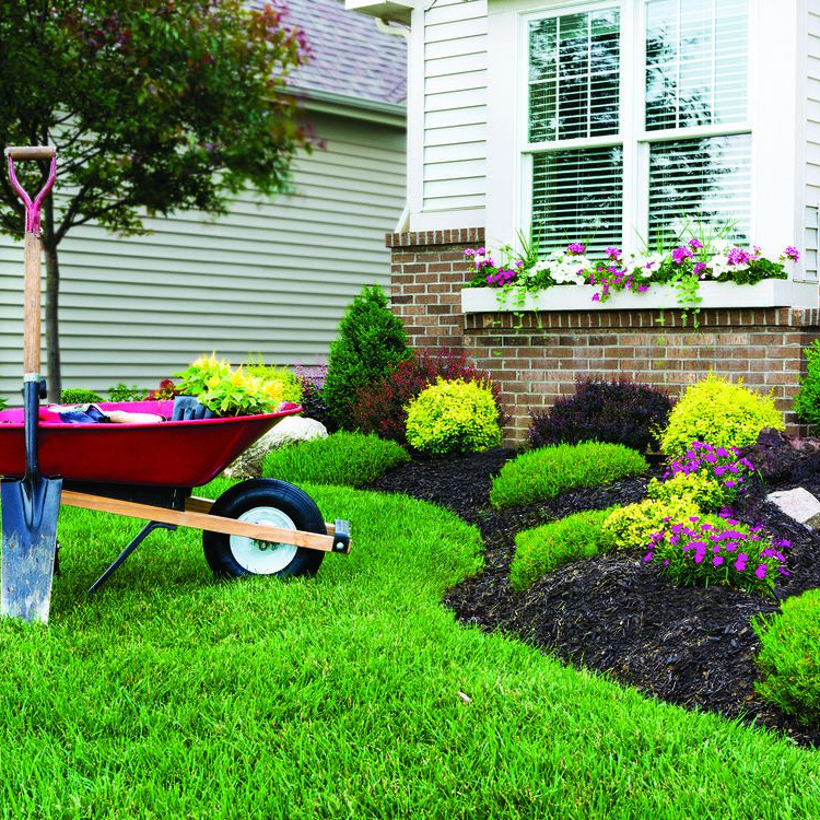 Booms Lawncare | 6485 Brigden Rd, Brights Grove, ON N0N 1C0, Canada | Phone: (519) 331-3706