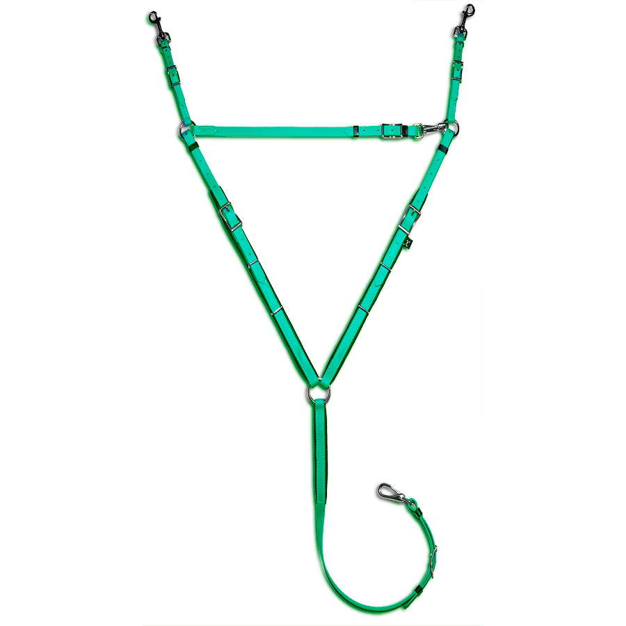 Great Leadsn Reins | 212 Old Orchard Road, Greater Napanee, ON K0H 1G0, Canada | Phone: (613) 832-9235
