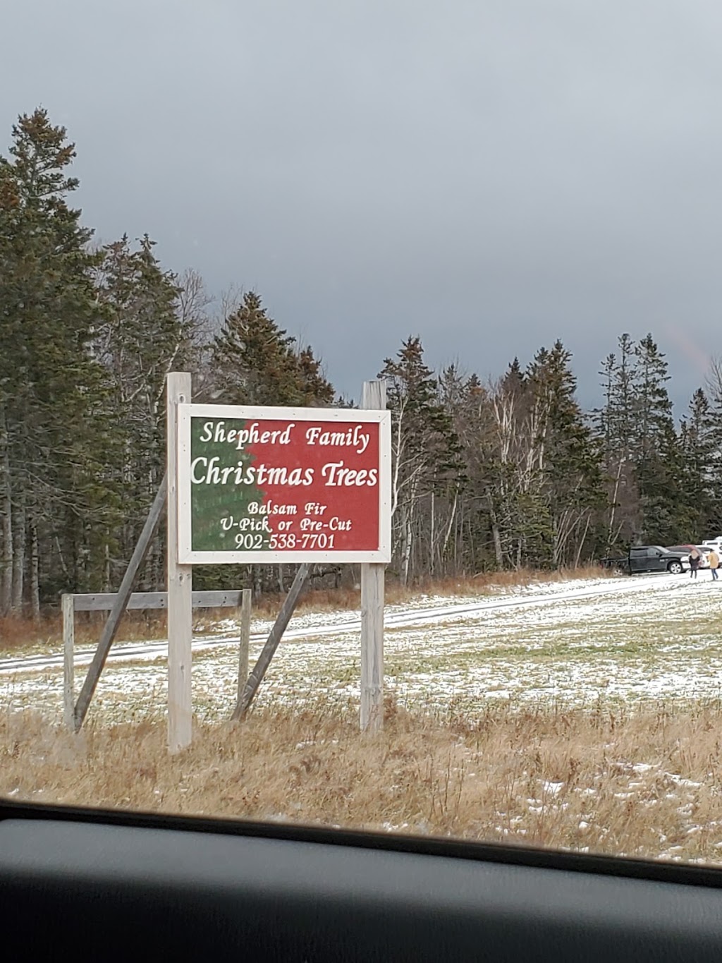 Shepherd Family Christmas Tree Farm | shopping mall | 3750 Black Rock Rd, Waterville, NS B0P 1V0, Canada | 9025387701 OR +1 902-538-7701