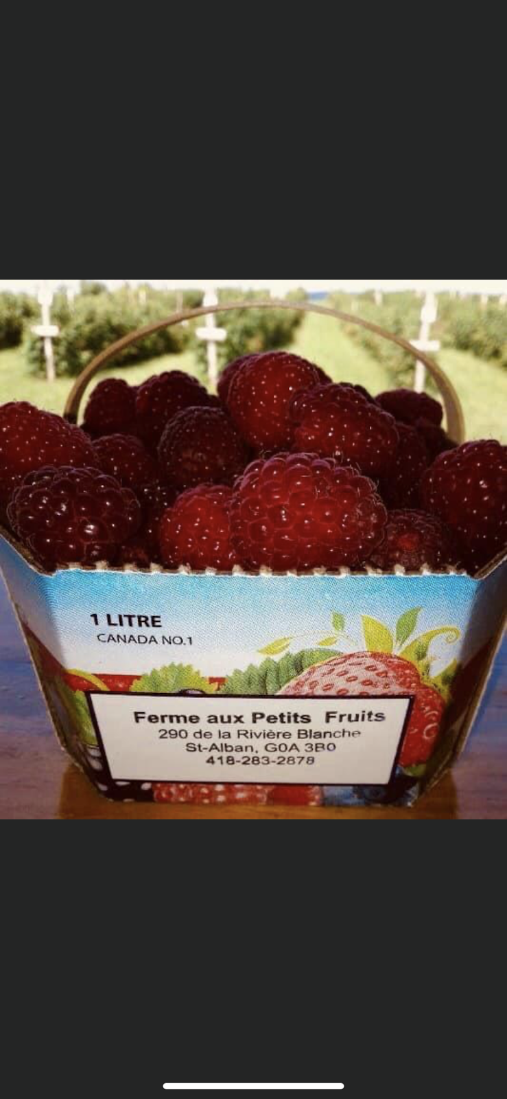 ferme aux petits fruits | 292 Rang de la Rivière Blanche, Saint-Alban, QC G0A 3B0, Canada | Phone: (418) 283-2878
