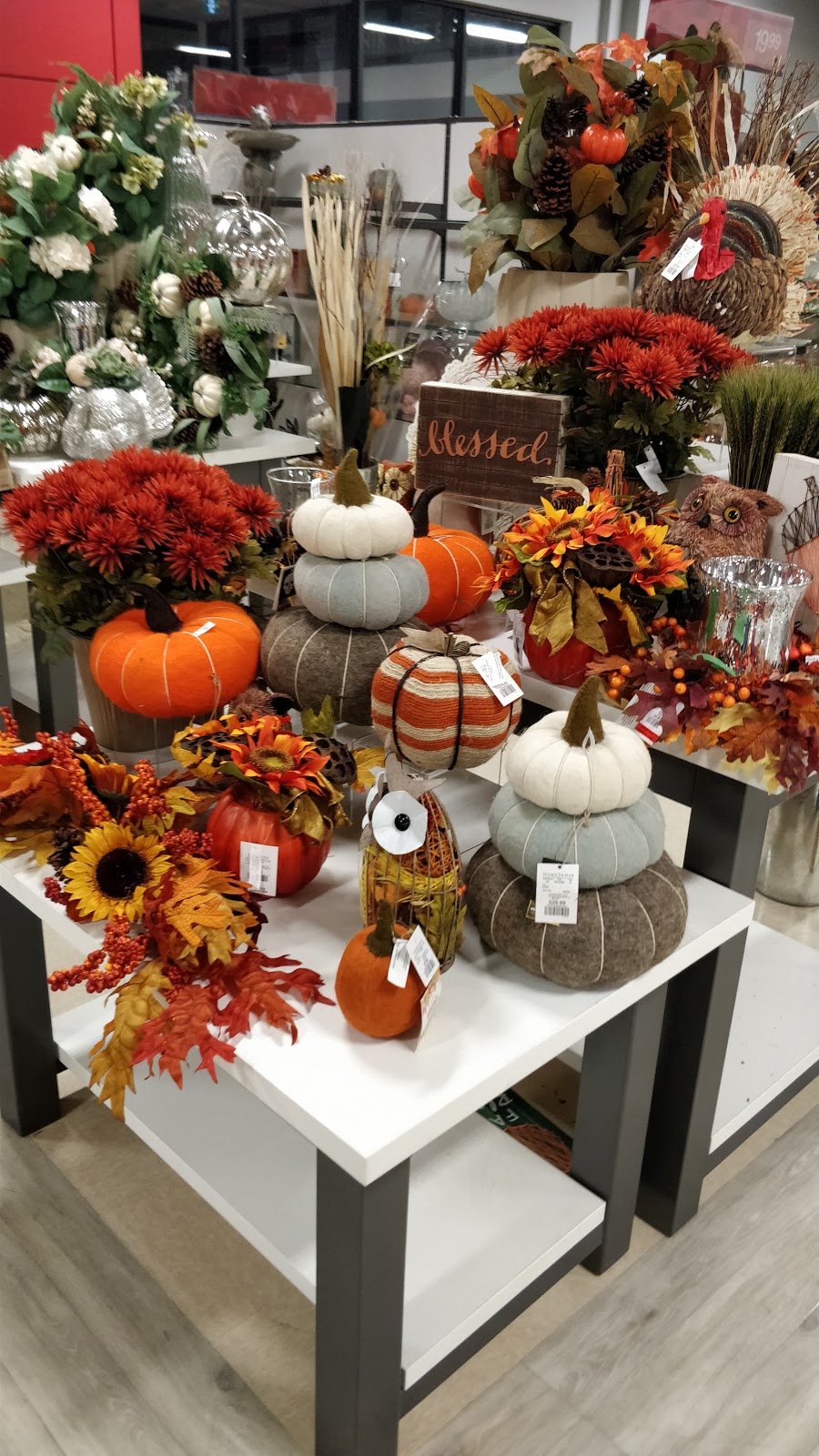 HomeSense | department store | 109 St NW, Edmonton, AB T5G 3A6, Canada | 7806704343 OR +1 780-670-4343