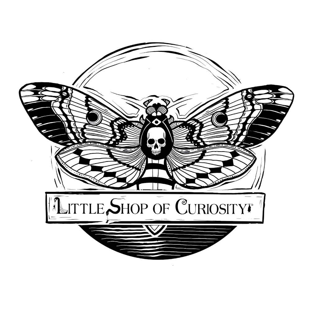 Little Shop of Curiosity | 309 Cimarron Vista Way, Okotoks, AB T1S 0J6, Canada | Phone: (250) 864-4799